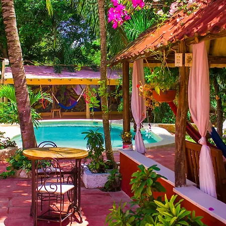 Casa De Los Pajaros - B&B-2